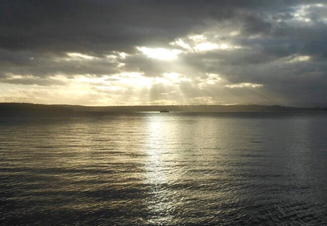 WEST SEATTLE SATURDAY: 29 possibilities!