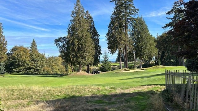 Activists urge Sand Point Country Club to daylight Matthews Creek to offset tree removal