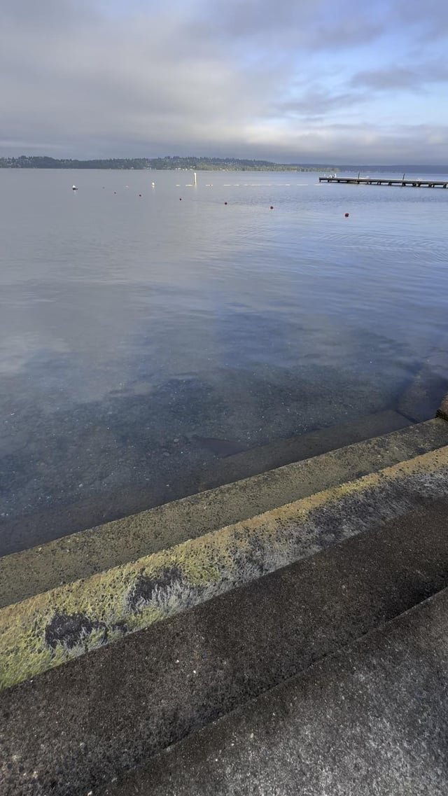 Early morning fish at Doris Cooper Houghton Beach Park