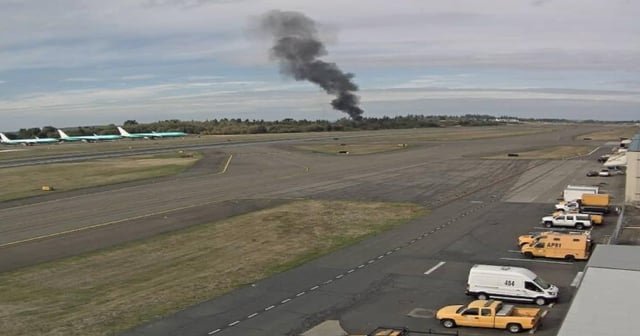 Pilot killed in small plane crash at Paine Field Airport