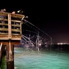 Squid fishing from the WS Water Taxi Pier
