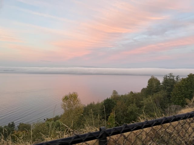The fog rolling in from Magnolia
