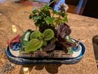 Yet another Mariners ferry boat planter