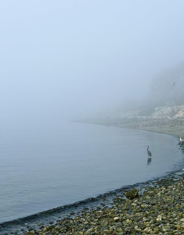 Moody morning at Richmond Beach