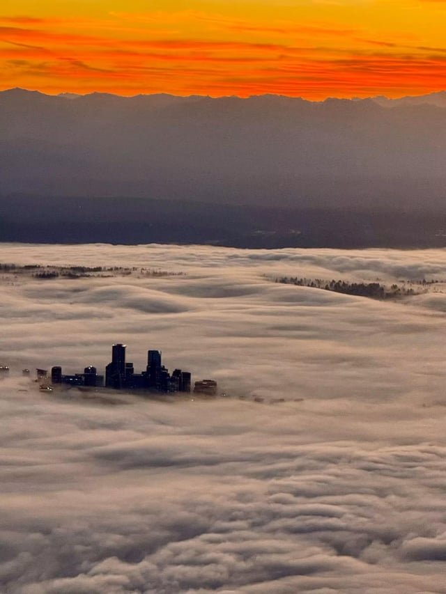 Bellevue in the fog this morning