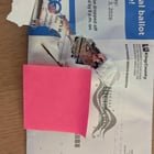 Ballot Destoyed