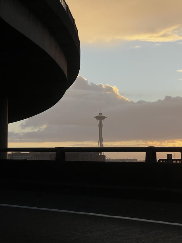 Needle was so gorgeous today