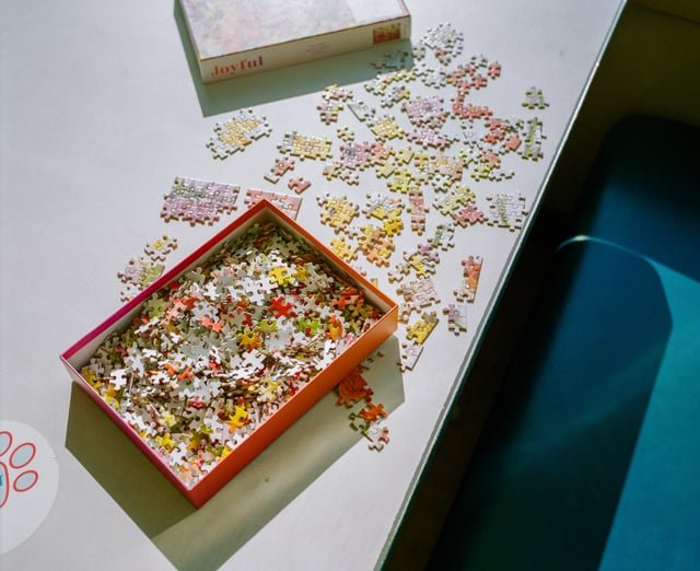 Have you ever finished a ferry puzzle?