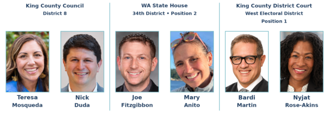 ELECTION 2026: Alki Community Council forum to include judicial race