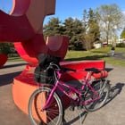 Stolen Bikes from Beacon Hill
