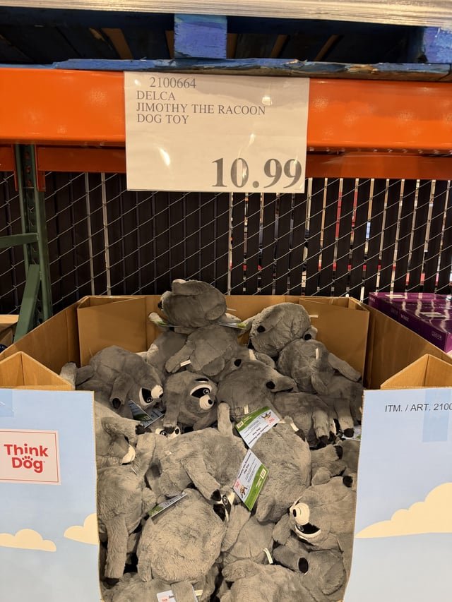 Seen at Costco 🦝