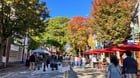 Car free Ave Saturday was so cute