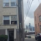 Does anyone know this dog? They seem like they should be a local legend.