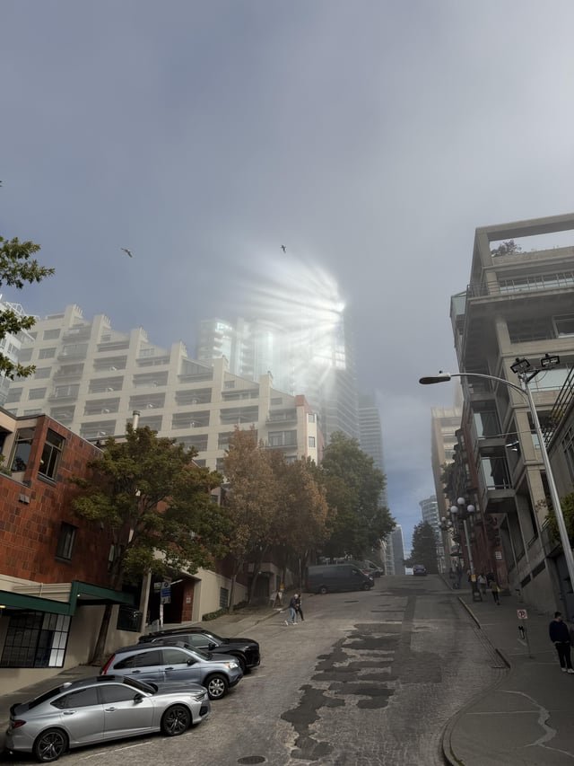 As the fog burns off